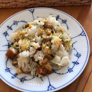 カイワレと玉ねぎ天の納豆チャーハン